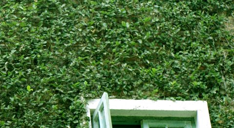 Waarom is isolatie goed voor het milieu?