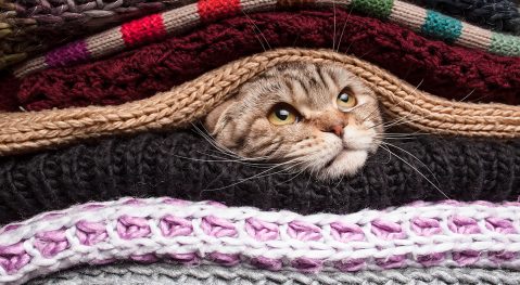 Vijf aandachtspunten bij isolatie