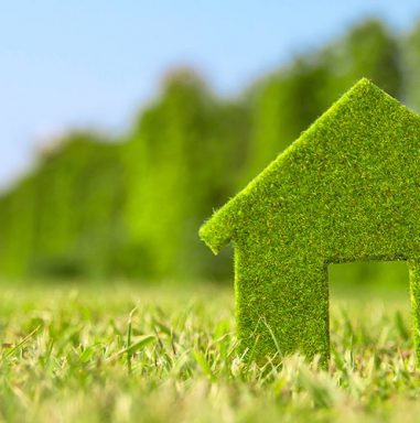 slimwoner huis van gras