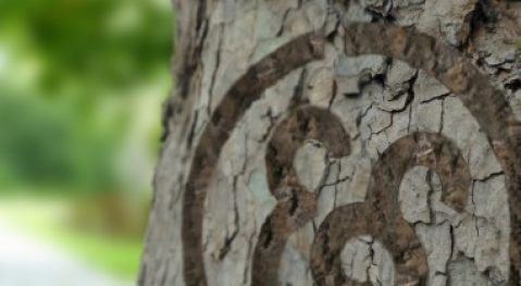 Periodieke schenking