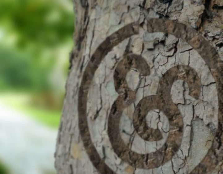 Periodieke schenking