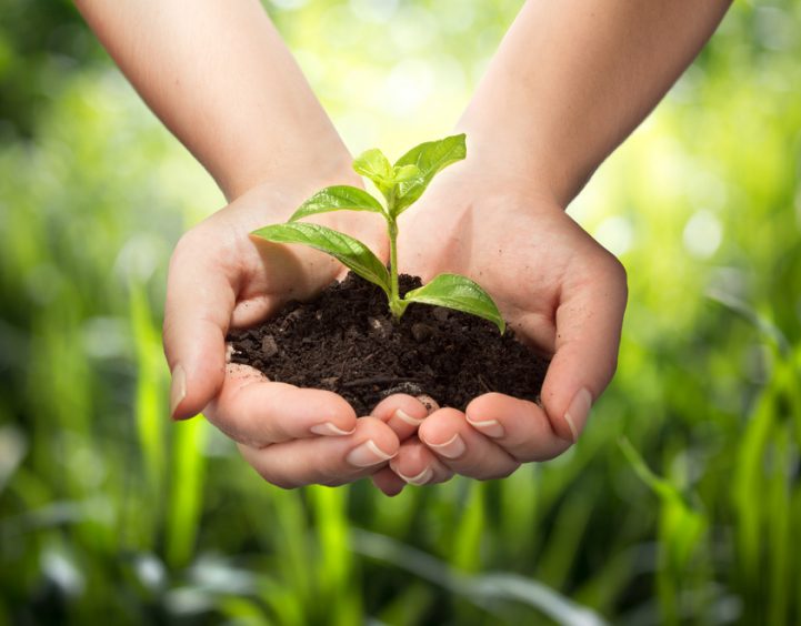 Periodieke schenking